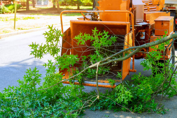 Lawn Watering Services in Niagara, WI